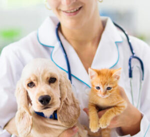 veterinaria a domicilio